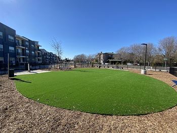 A dog park with agility courses and agility ropes course