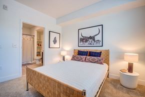 Santa Rosa apartment for rent - a bedroom with a large bed and a bathroom in the background at 38° NORTH, Santa Rosa