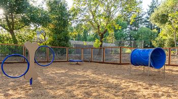 Bark park