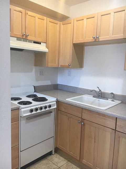 Floor plan for studio, 1 bath, 350 sqft