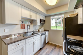 Ventura apartment for rent - Kitchen with appliances and window