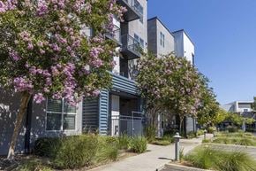 Sacramento townhouse for rent - Exterior building view with landscape and sidewalk