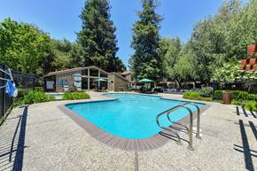 San Jose apartment for rent - Pet-Friendly Apartments in San Jose, CA- Villas Willow Glen- Sparkling Pool, Sun Lounge Chairs, and Landscaping