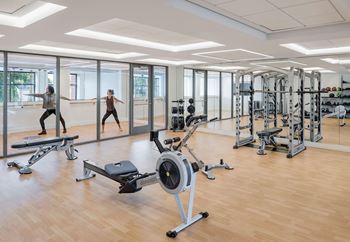 A gym with a row of treadmills and a row of weights.