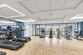 Newton apartment for rent - A gym with treadmills, elliptical machines, and other exercise equipment. at Trio Newton Apartments, Newton, Massachusetts