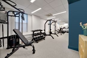 Brookline apartment for rent - Brightly lit gym with weight machines, dumbbells, and cardio equipment.