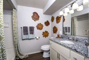 Sleek granite countertops