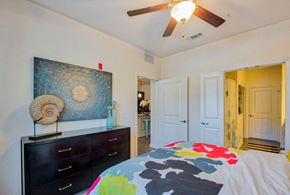 Tallahassee apartment for rent - Apartments for Rent in Tallahassee, FL - Apalachee Point - Bedroom with Ceiling Fan and Large Closet