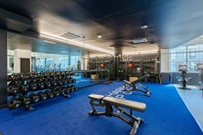 Stamford apartment for rent - A gym with a blue carpet and a variety of equipment.