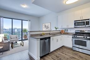 Stamford apartment for rent - kitchen with stainless steel appliances and living room