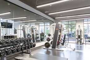 Nashville apartment for rent - Modern gym with dumbbells, weight machines, and mirrored wall.