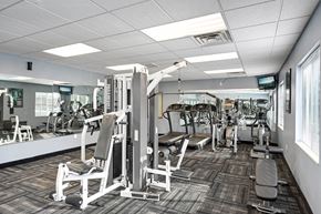 Burnsville townhouse for rent - A gym with a variety of equipment including a squat rack, bench press, and leg press.