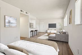 Denver apartment for rent - Bright living space with wood-style flooring at Willowstone Apartments, pet-friendly studio and 1–2 bedroom homes.