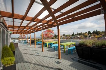 Roof top fire pit and sundeck with views of downtown and lake washington