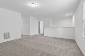 Locust Grove apartment for rent - A spacious room with a carpeted floor and a door in the background.