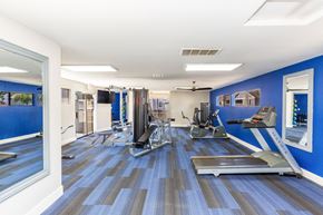 Colton apartment for rent - a gym with cardio equipment and a blue wall