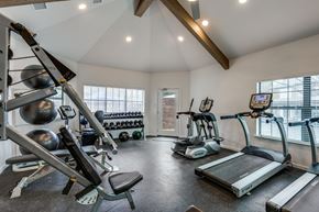 Austin apartment for rent - A well-equipped home gym with a variety of exercise machines.