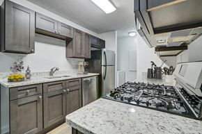 Gainesville apartment for rent - Renovated apartment kitchen with lots of cabinet space at Chelsea Apartments in Gainesville FL, pet-friendly community
