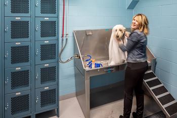 Wash ‘n wag >> dog wash room with lockers*