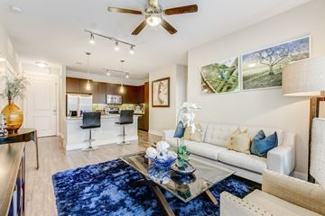 Irving apartment for rent - A living room with a white couch and a blue rug.