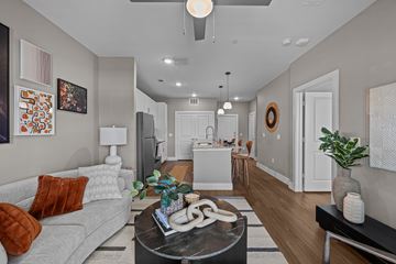 Georgetown apartment for rent - A modern living room with a grey couch and a coffee table in the center.