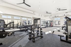 Henderson apartment for rent - Pet-Friendly luxury apartments in Henderson NV - Parq on Boulder - Gym with Ceiling Fans, Weights, Machines, Large Windows, and Mirrors
