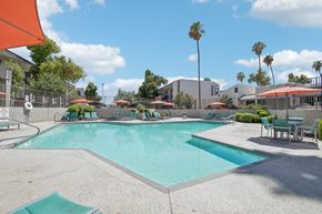 Phoenix apartment for rent - Phoenix Apartments - Ardella on 28th - Gated Outdoor Pool Area with Lounge Seating, Umbrellas, Tables with Chairs, and Surrounding Trees.
