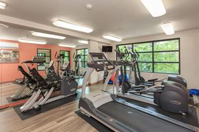 Renton apartment for rent - A gym with treadmills, elliptical machines, and other exercise equipment.