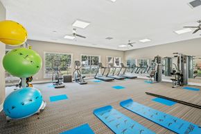 Jacksonville apartment for rent - a gym with cardio equipment and exercise balls on the floor