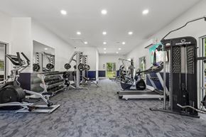 Jacksonville apartment for rent - A spacious gym with a variety of equipment including treadmills, weight machines, and free weights.