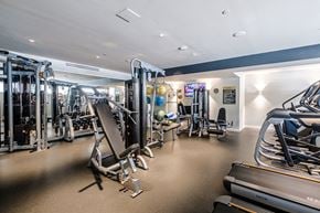 Dallas apartment for rent - a gym with cardio equipment and weights on the floor