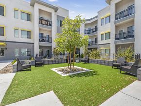 Las Vegas apartment for rent - A tree in a courtyard surrounded by benches and buildings.