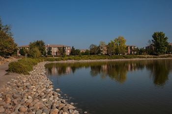 Lake views*