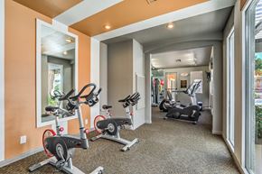 Henderson apartment for rent - Madison at Black Mountain apartments photo of a Recently Renovated Fitness Center