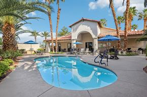 Las Vegas apartment for rent - A pool surrounded by palm trees and a building in the background.
