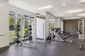 Odessa apartment for rent - A gym with a variety of equipment including a squat rack, bench press, and a leg press machine.