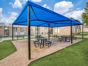 Outdoor grilling and picnic stations