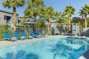 Henderson apartment for rent - a swimming pool with blue lounge chairs and palm trees