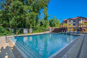 Tallahassee apartment for rent - Pet-Friendly Apartments in Tallahassee, FL - Apalachee Point - resort style pool
