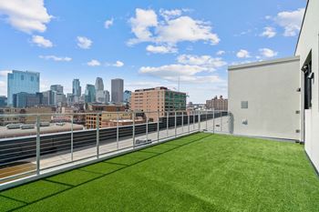 Rooftop pet park