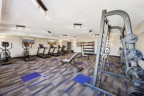Blaine apartment for rent - A gym with a variety of equipment including a squat rack.