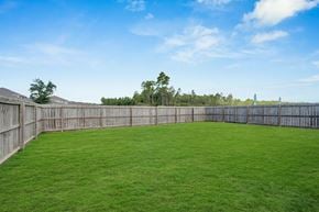 Ocean Springs apartment for rent - A backyard with a wooden fence and green grass.