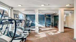 Aurora apartment for rent - A gym with treadmills and exercise equipment.