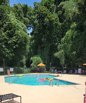 Greensboro apartment for rent - A pool surrounded by trees and umbrellas.