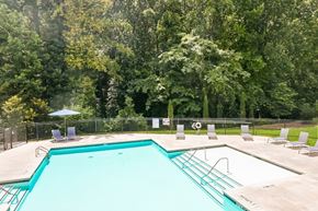Sandy Springs triplex for rent - A large swimming pool surrounded by trees and chairs.