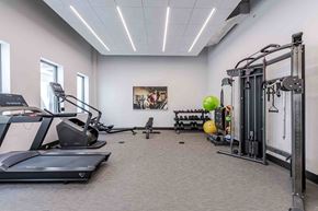 Miami Beach apartment for rent - Pet-friendly Miami Beach apartment fitness center featuring treadmills, free weights, and weight machines in a clean, well-lit space.