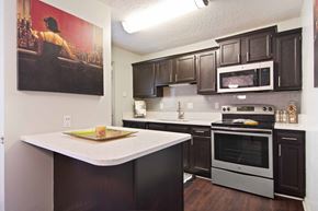 Atlanta apartment for rent - Audubon Briarcliff apartments in Atlanta Georgia photo of Kitchen