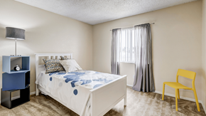 Aurora apartment for rent - Large bedroom in pet-friendly Aurora Meadows apartments in Aurora, Colorado