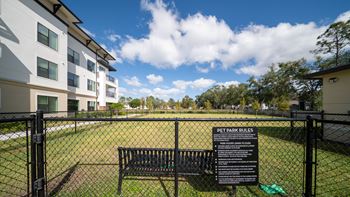 Dog park and pet spa