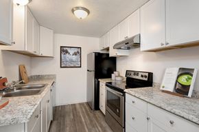 Lynnwood apartment for rent - Two-Bedroom Apartments In Lynnwood, WA - Evergreen Grove Apartment Homes - Kitchen With Vinyl Plank Flooring, White Cabinetry, Double Sink, And Stainless Steel Appliances.